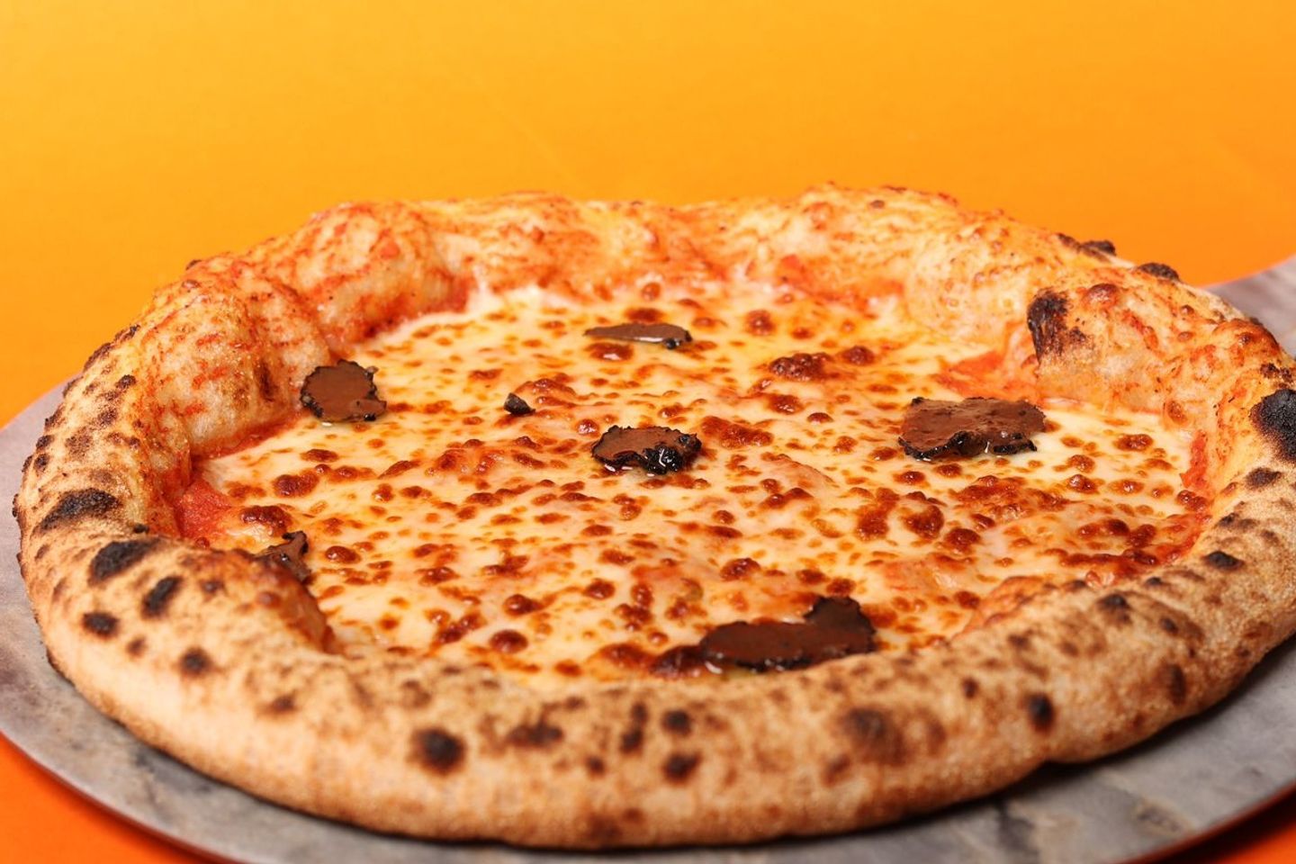 Truffle Pizza
