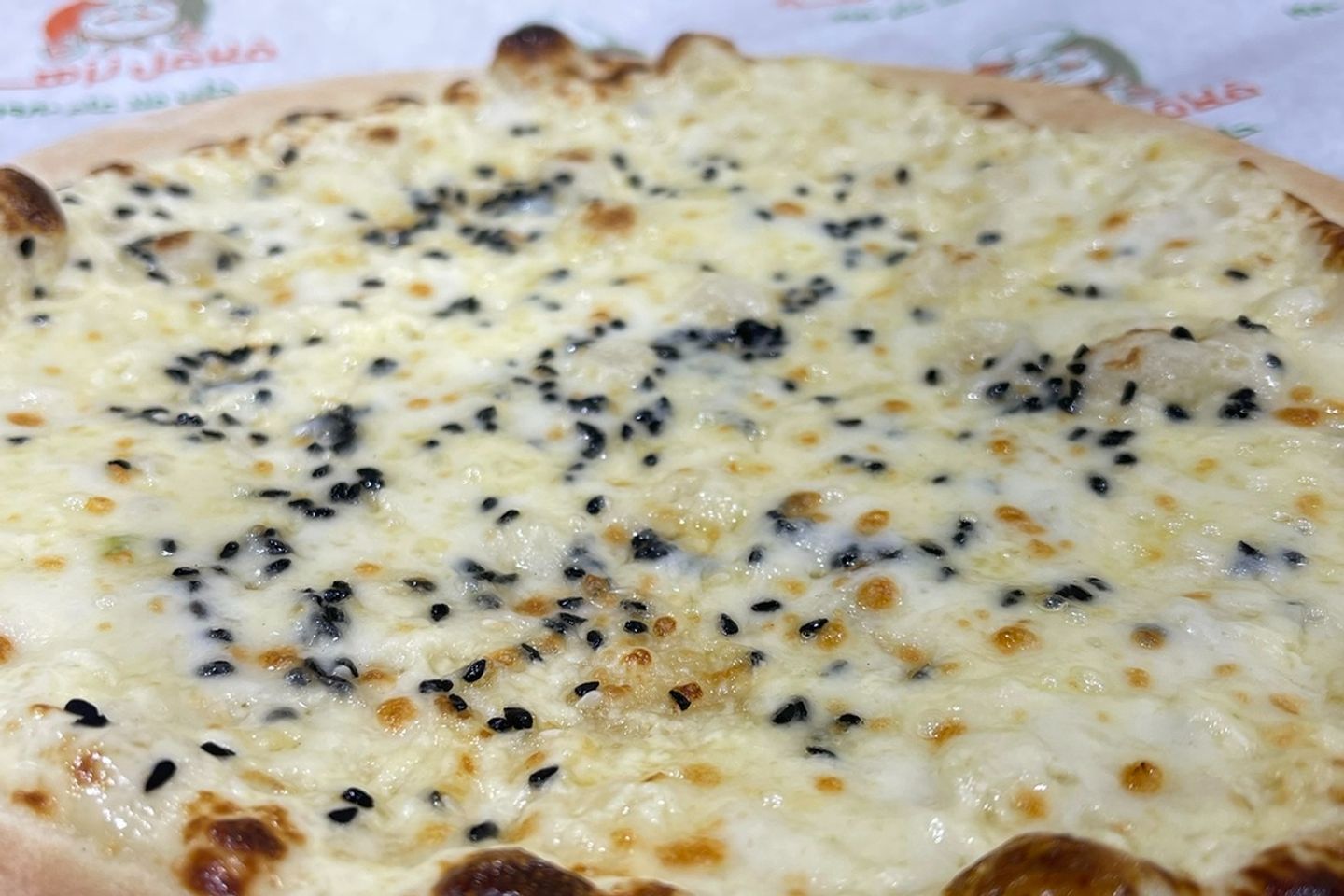 منقوشة جبن موزيريلا