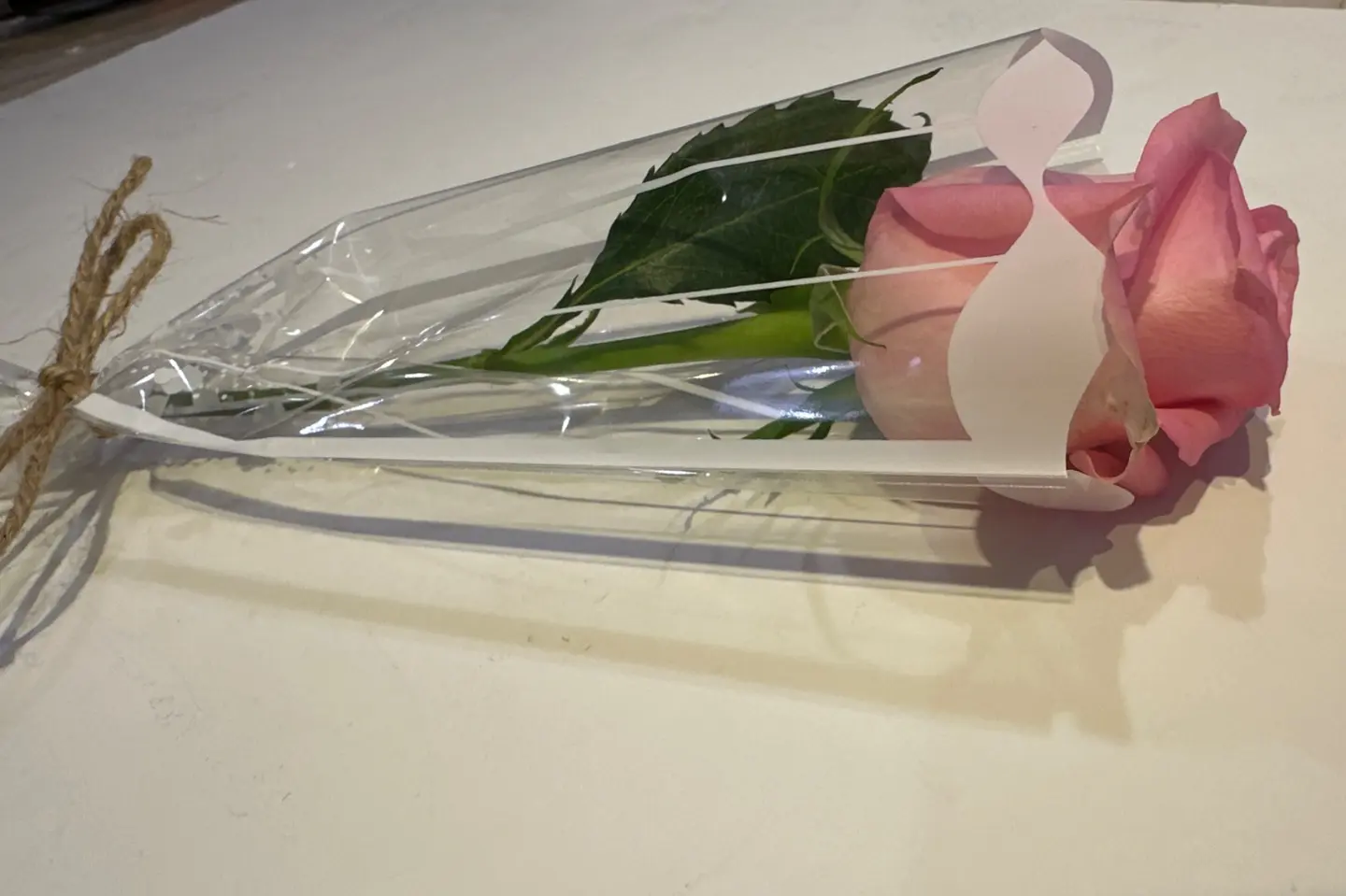 وردة جوري وردي