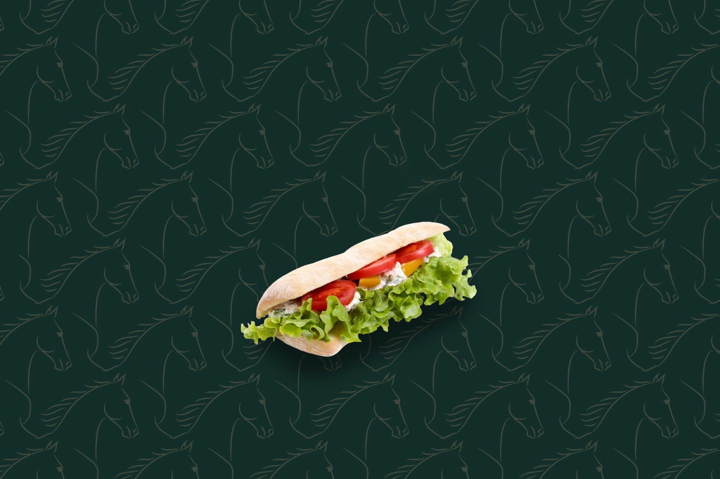 Cheese Sandwich