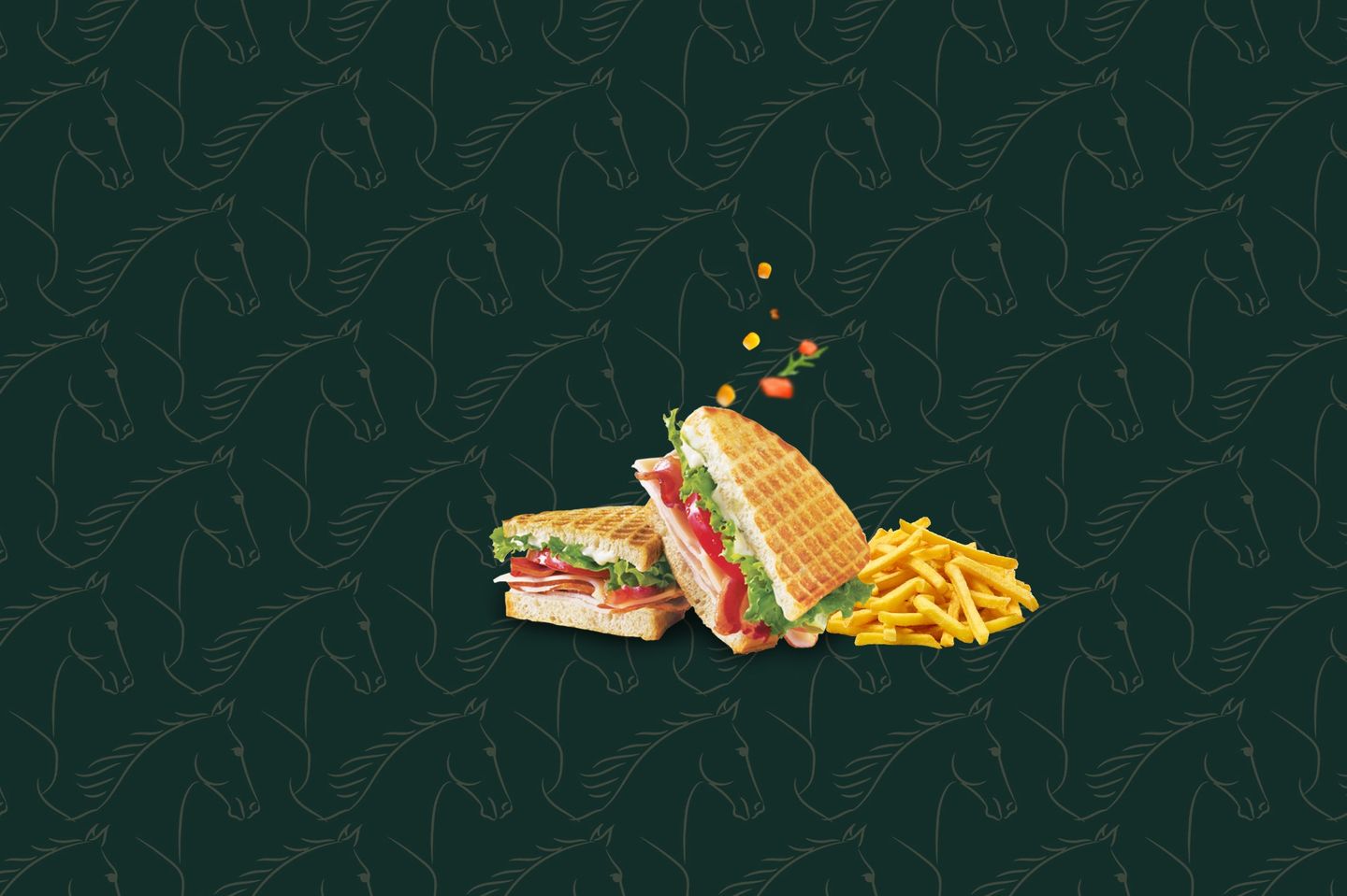 Club Sandwich Tuna