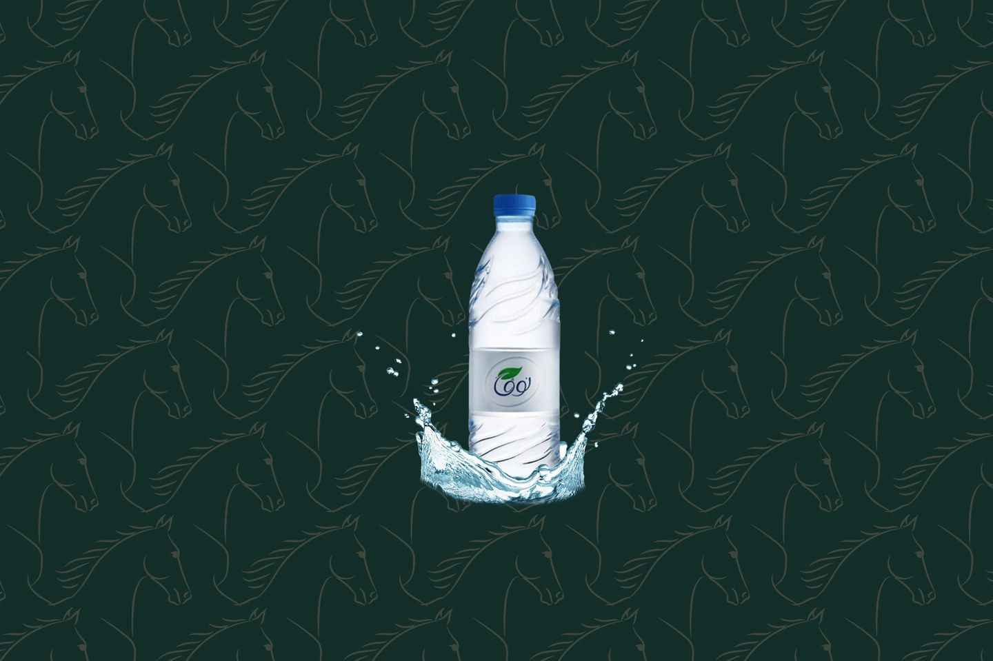 Small Mineral Water