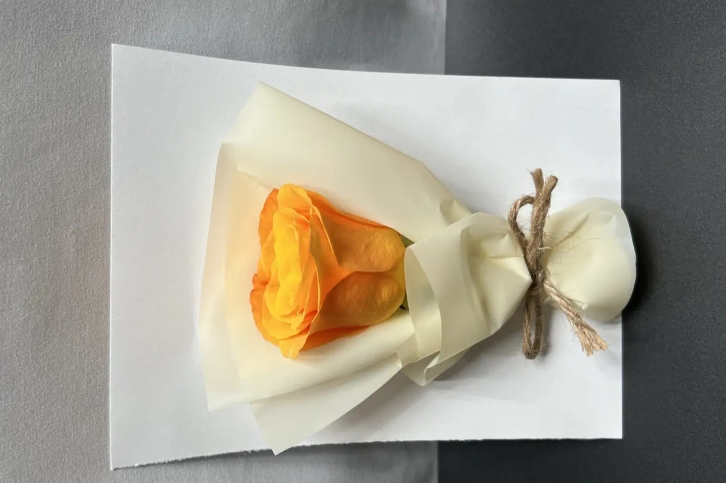 وردة و شتلة ٠٠١٦٣