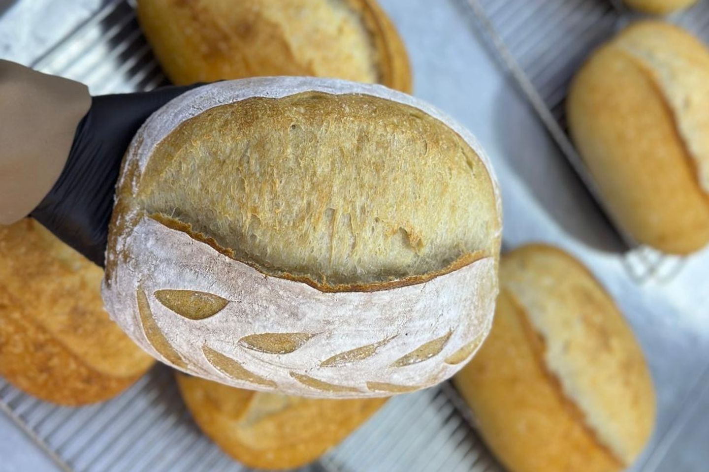 Plain Sourdough