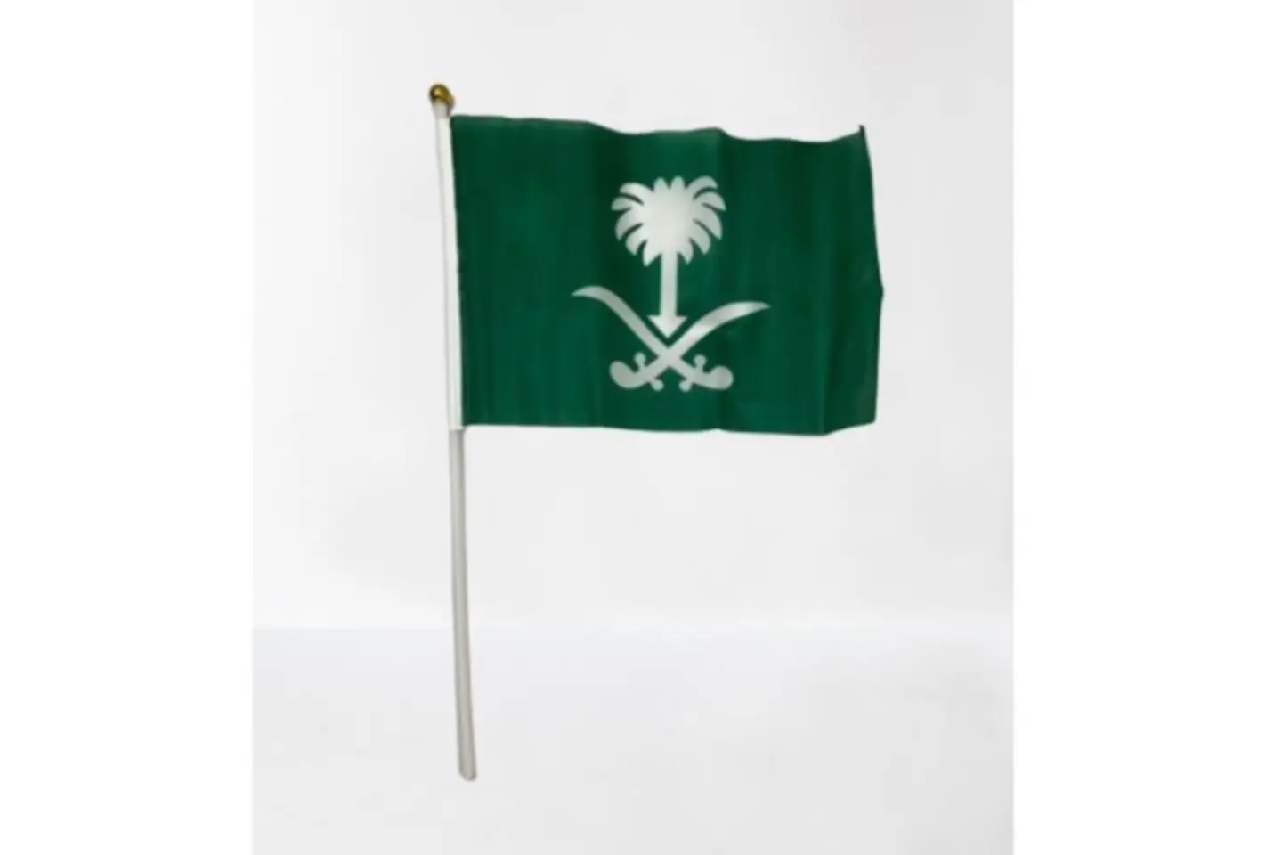 Ksa Palm Flag 3