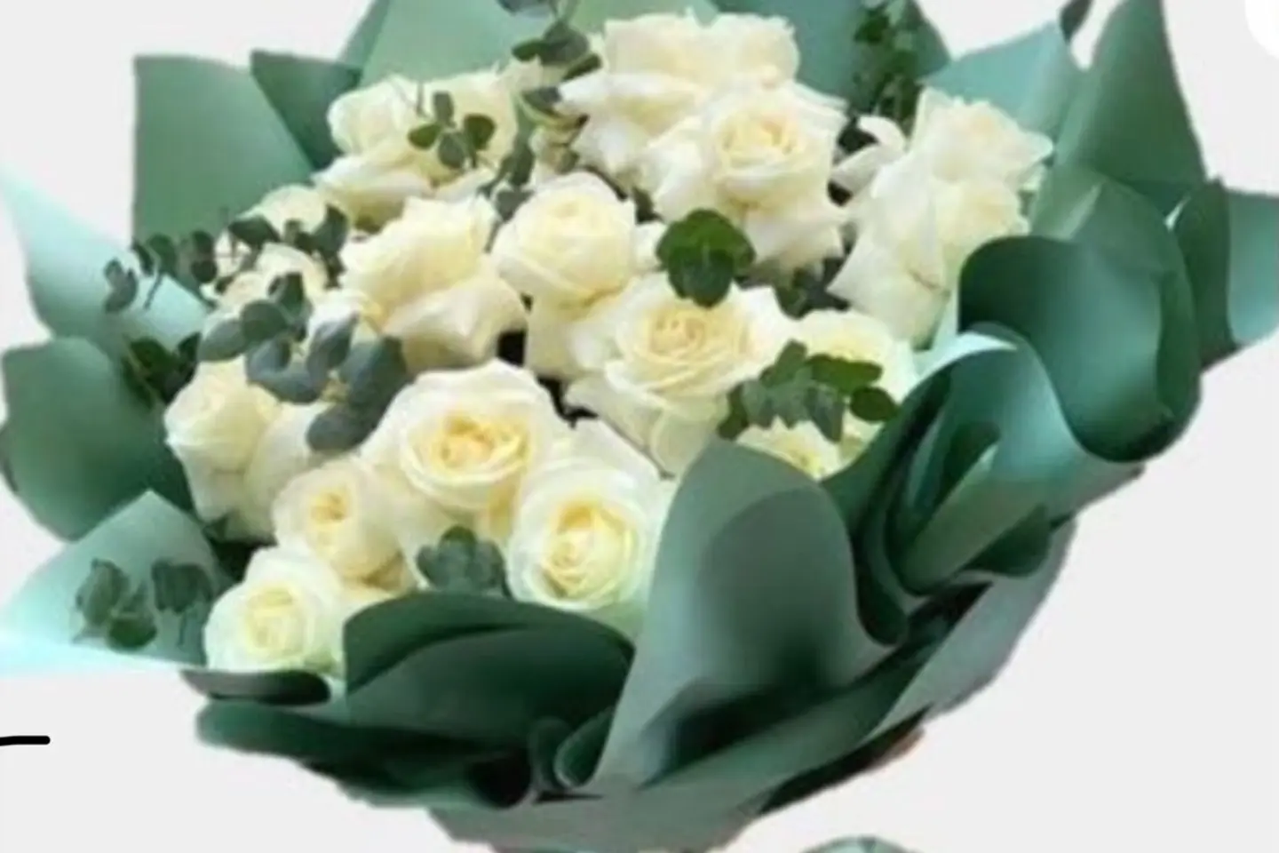 باقة الأميرات