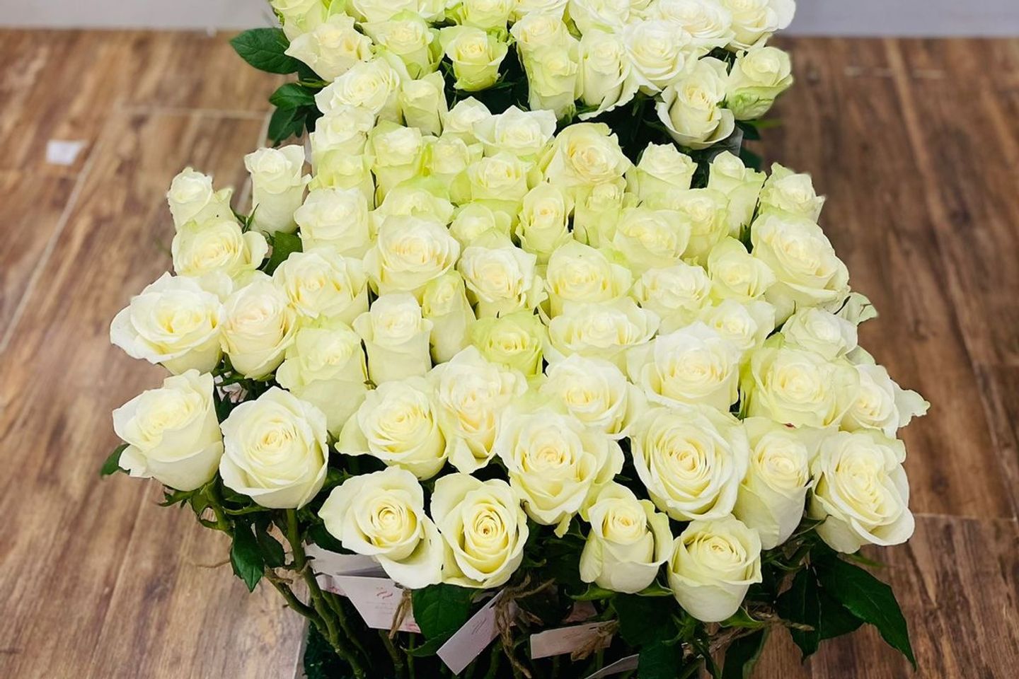 توزيعات ابيض