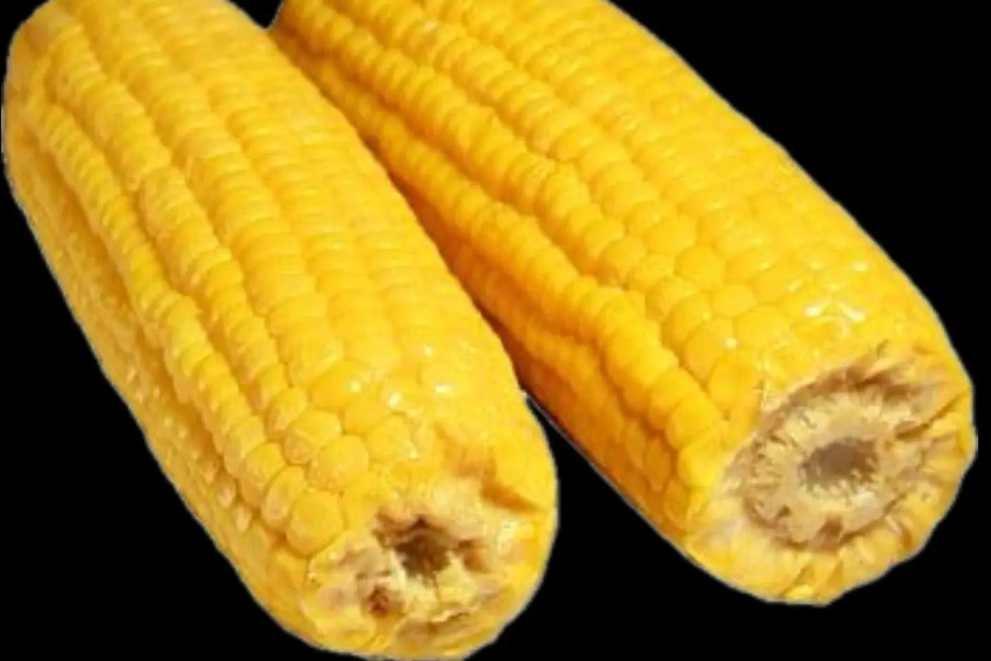 كورن ساده