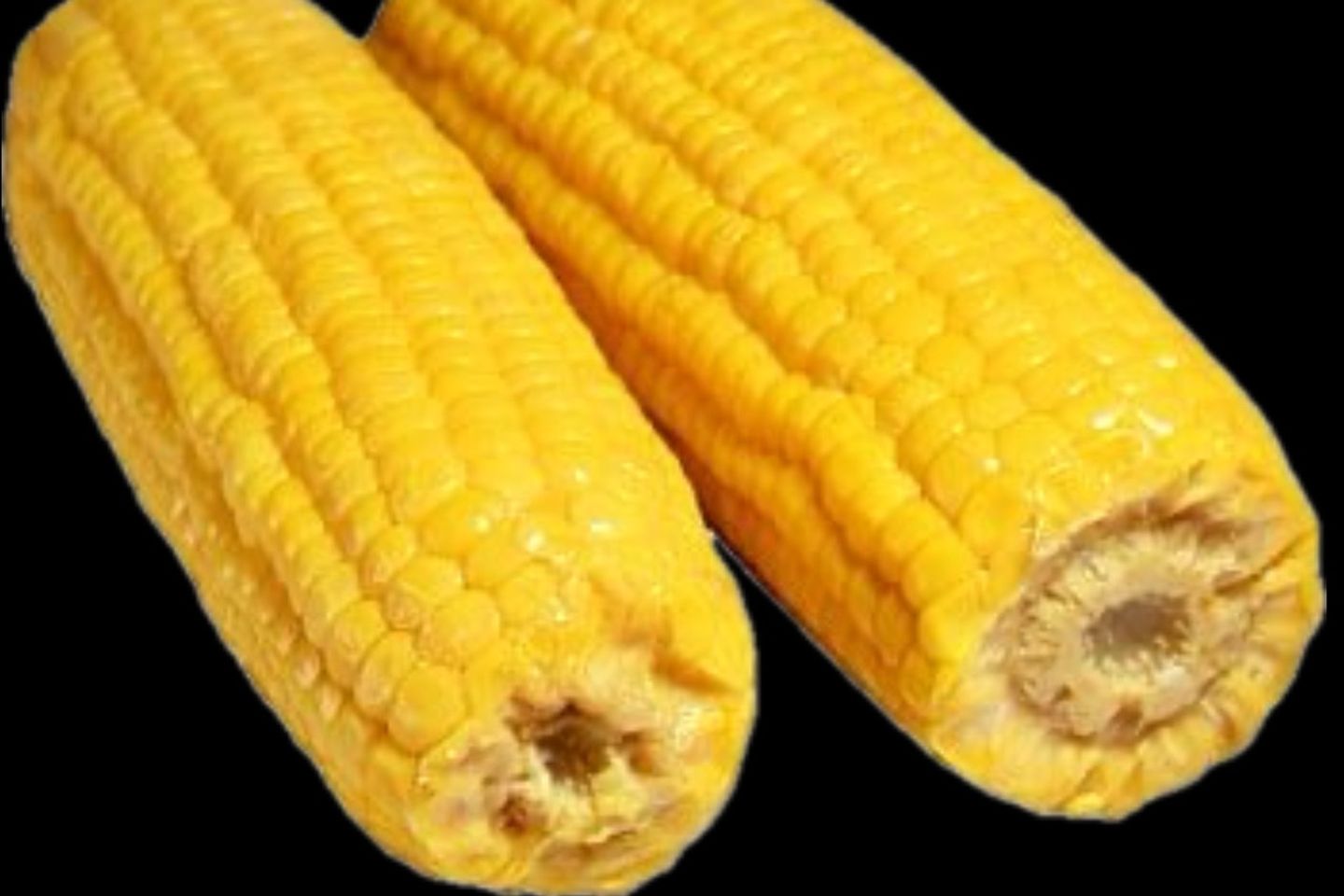كورن ساده