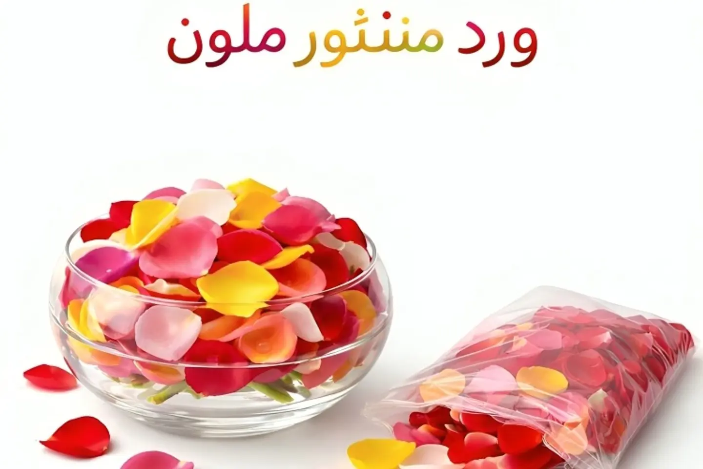 Rose   604