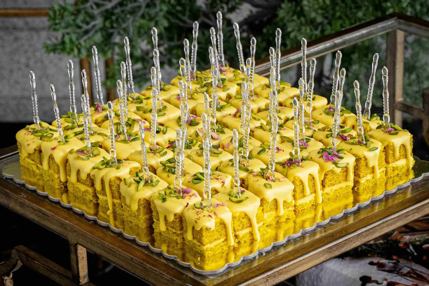 Oqaili Cake Bites   Tray