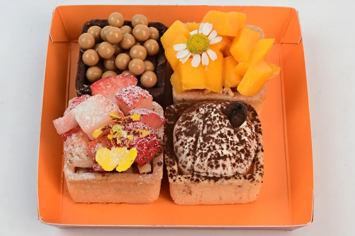 Tart Soiree Vip 5565