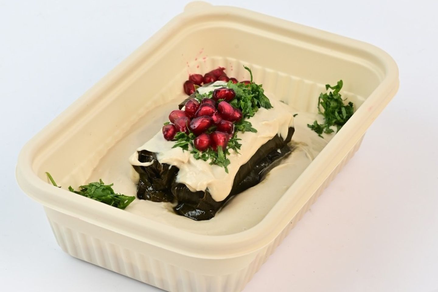 فتة ورق عنب بصوص طحينة-6262