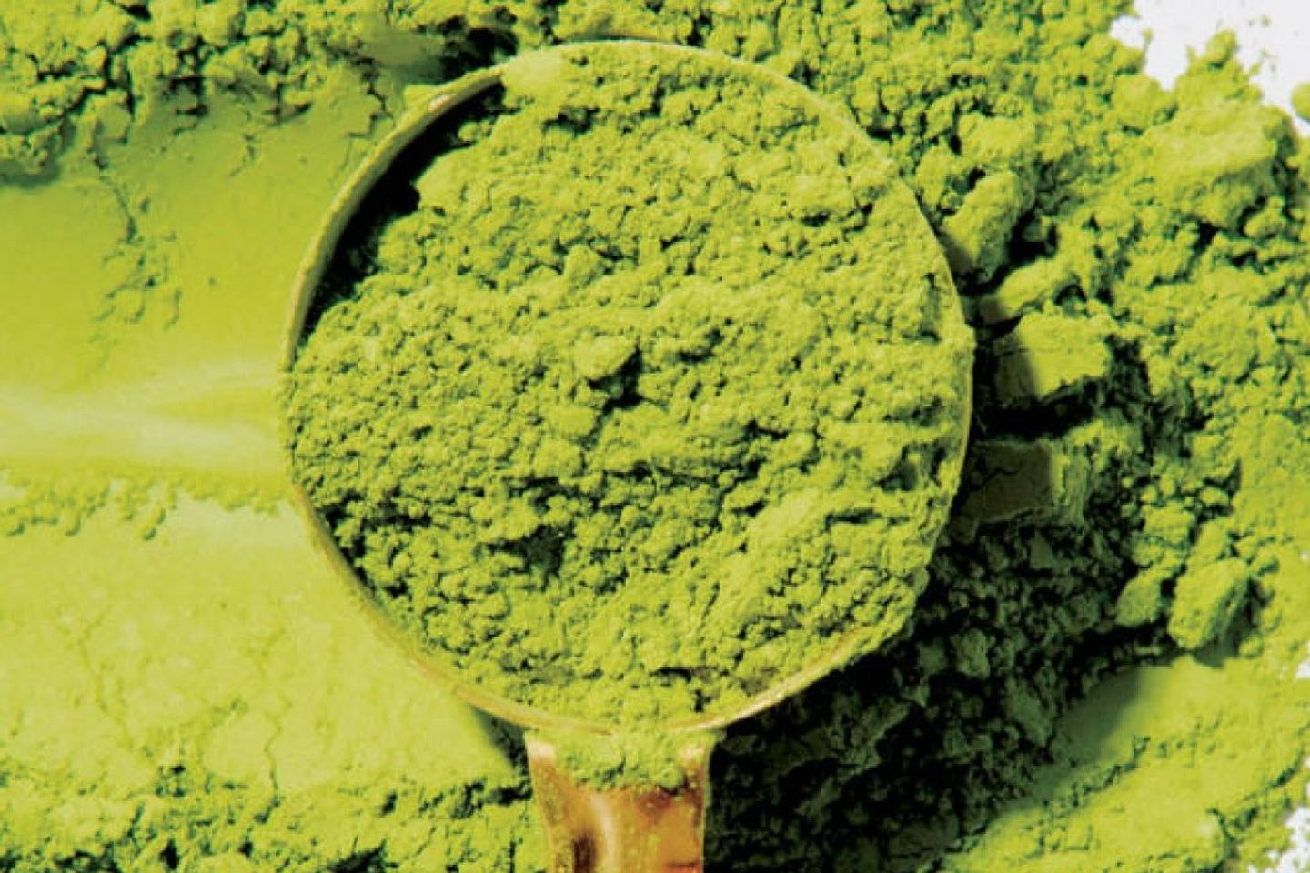 Ice Matcha