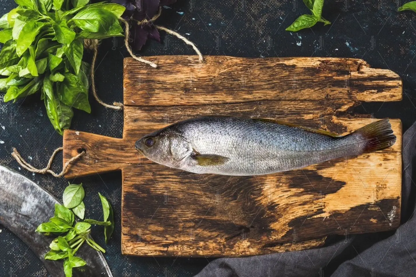 Argyrosomus Regius Fish