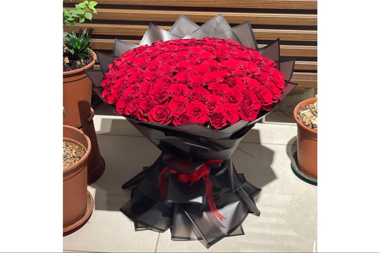 Elegance Package