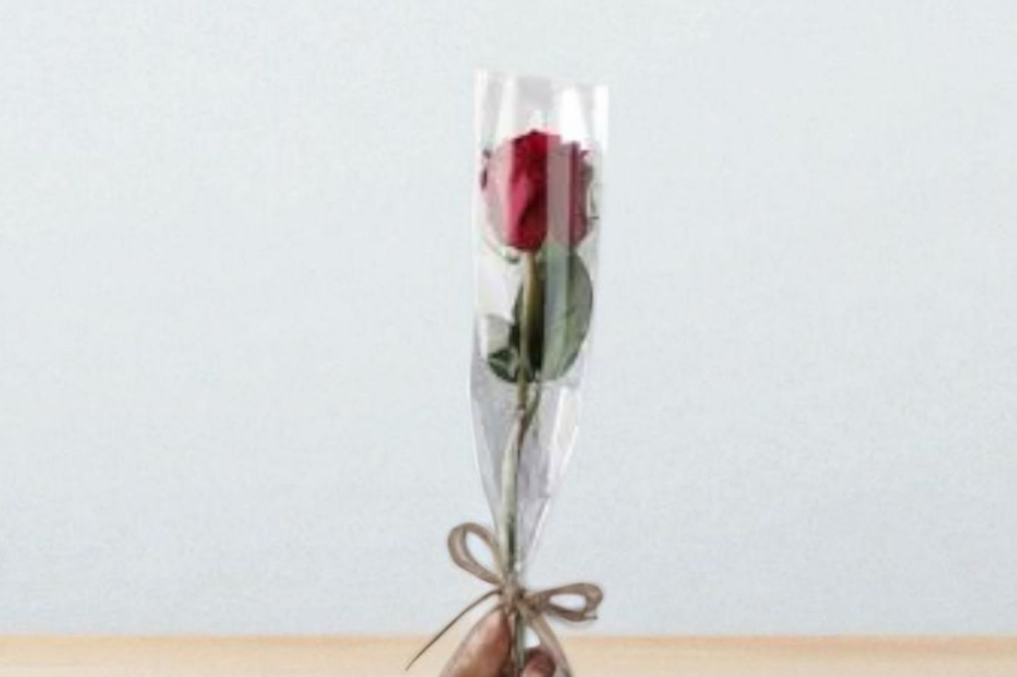 Red Rose