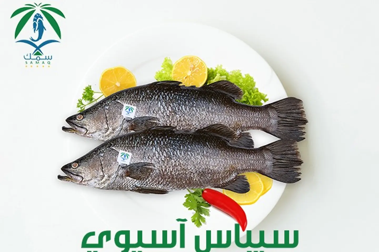 سمك سيباس منظف