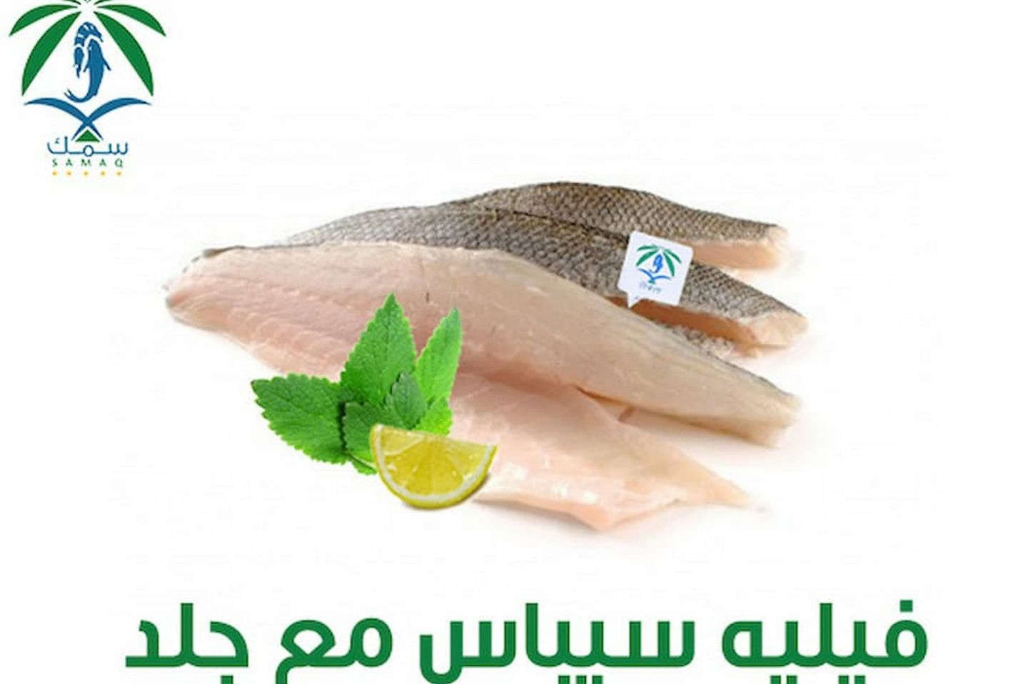 Seabass Fillet With Skin 250 Gm