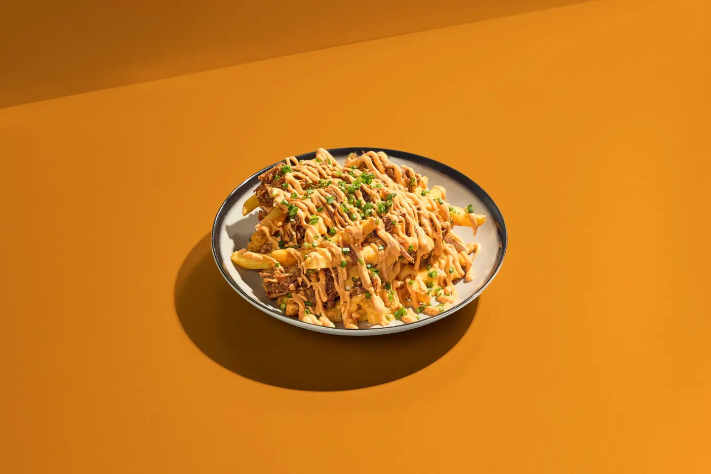 Tex Mex Birria Fries