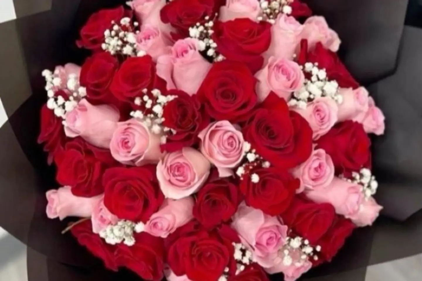 لؤلؤة الورد الأحمر ٢٥