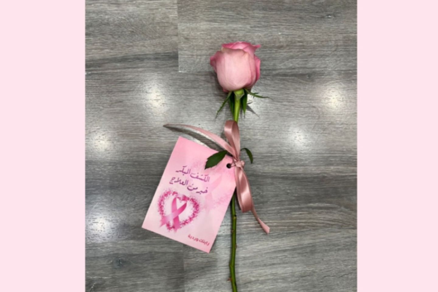 Pink October Rose