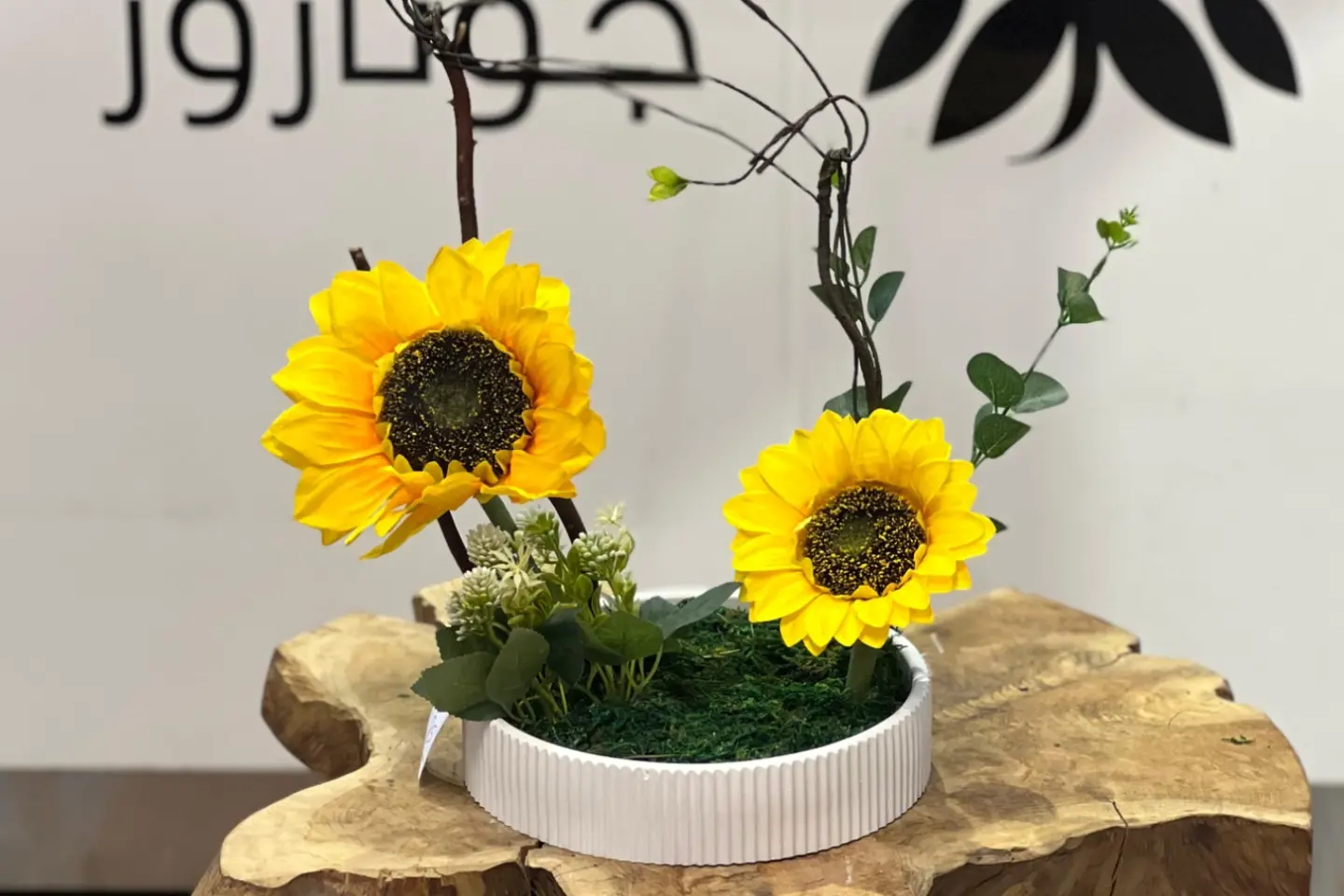 فازات جوناروز ١٩