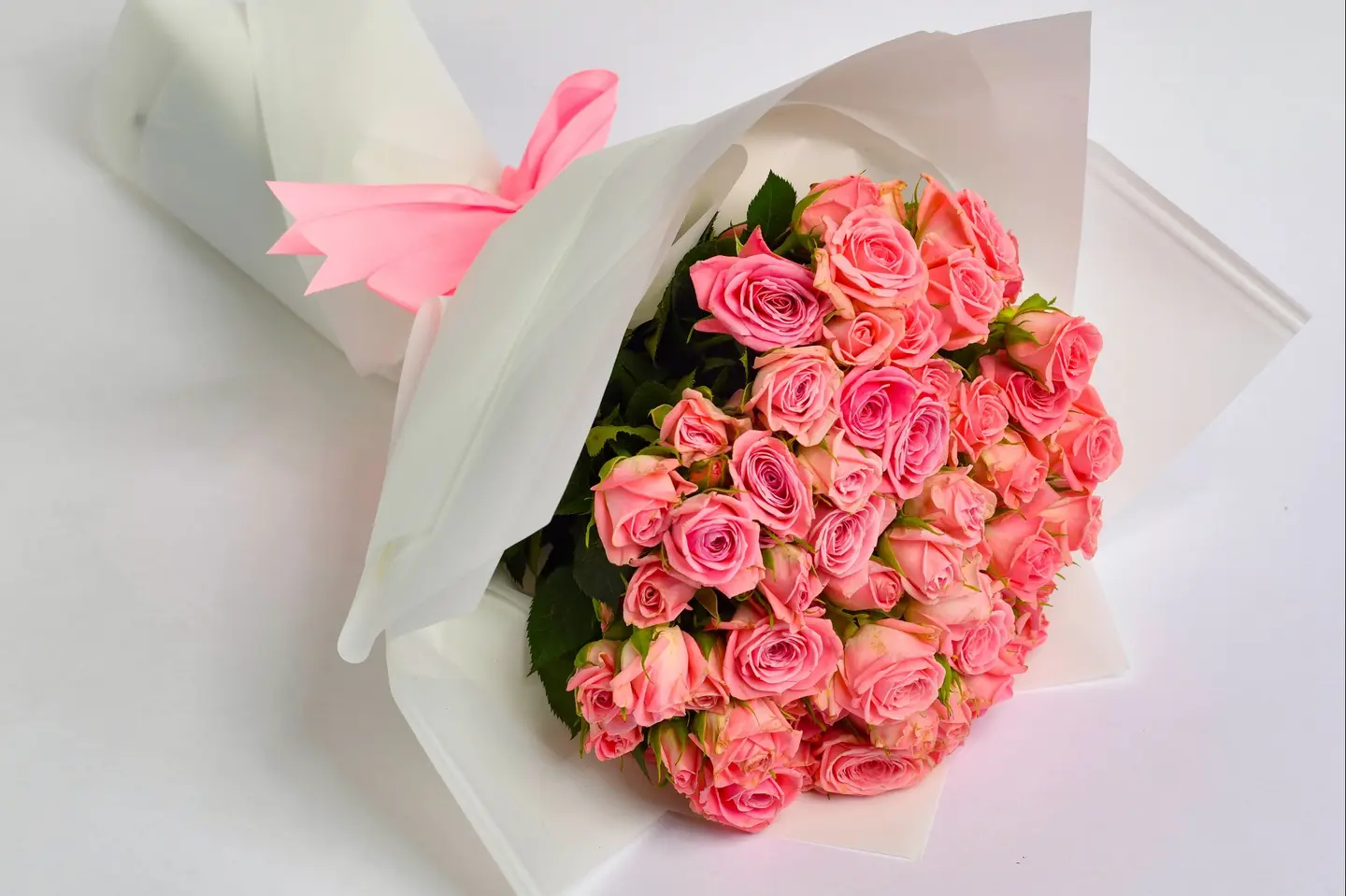 وردة و شتلة ٠٠٠٠٩