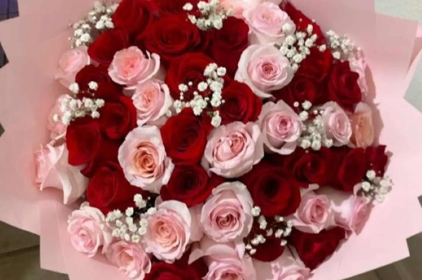 لؤلؤة الورد الأحمر ٣٠