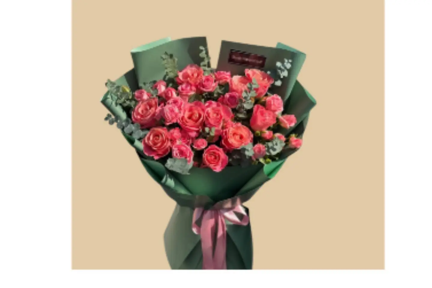 باقه الجاذبية