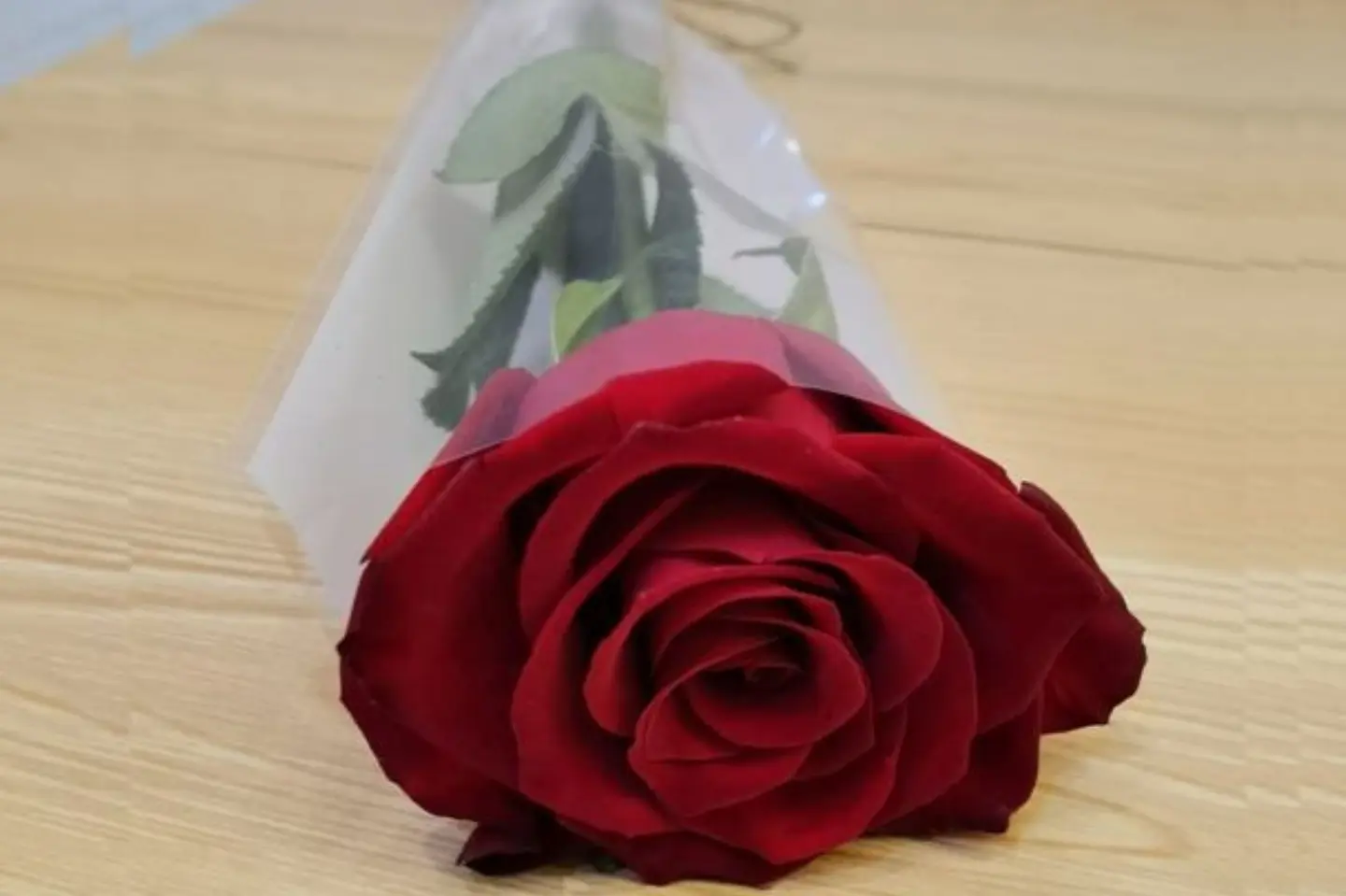 توزيعات بالحبه احمر