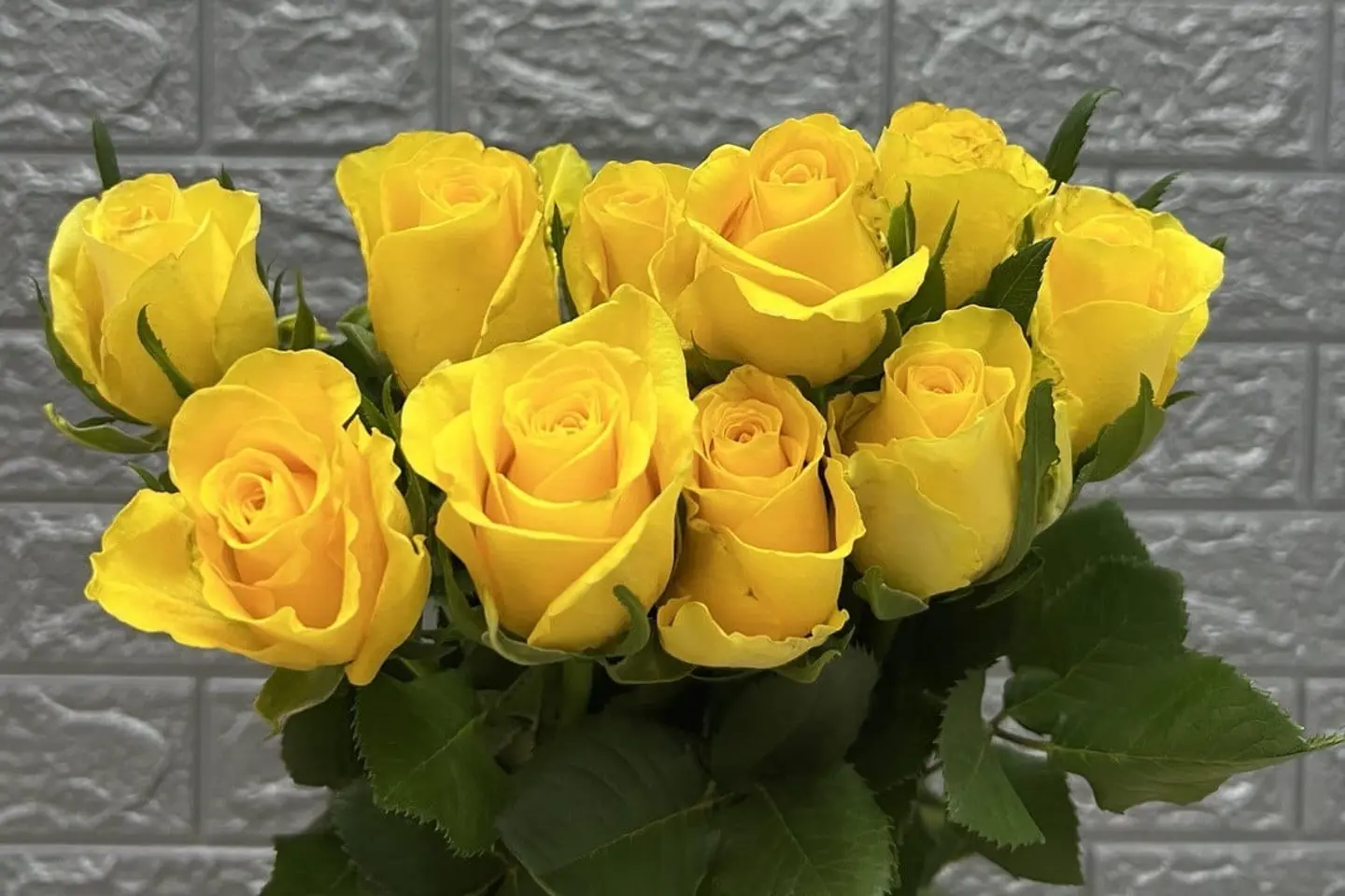 وردة و شتلة ٠٠٠٥٨