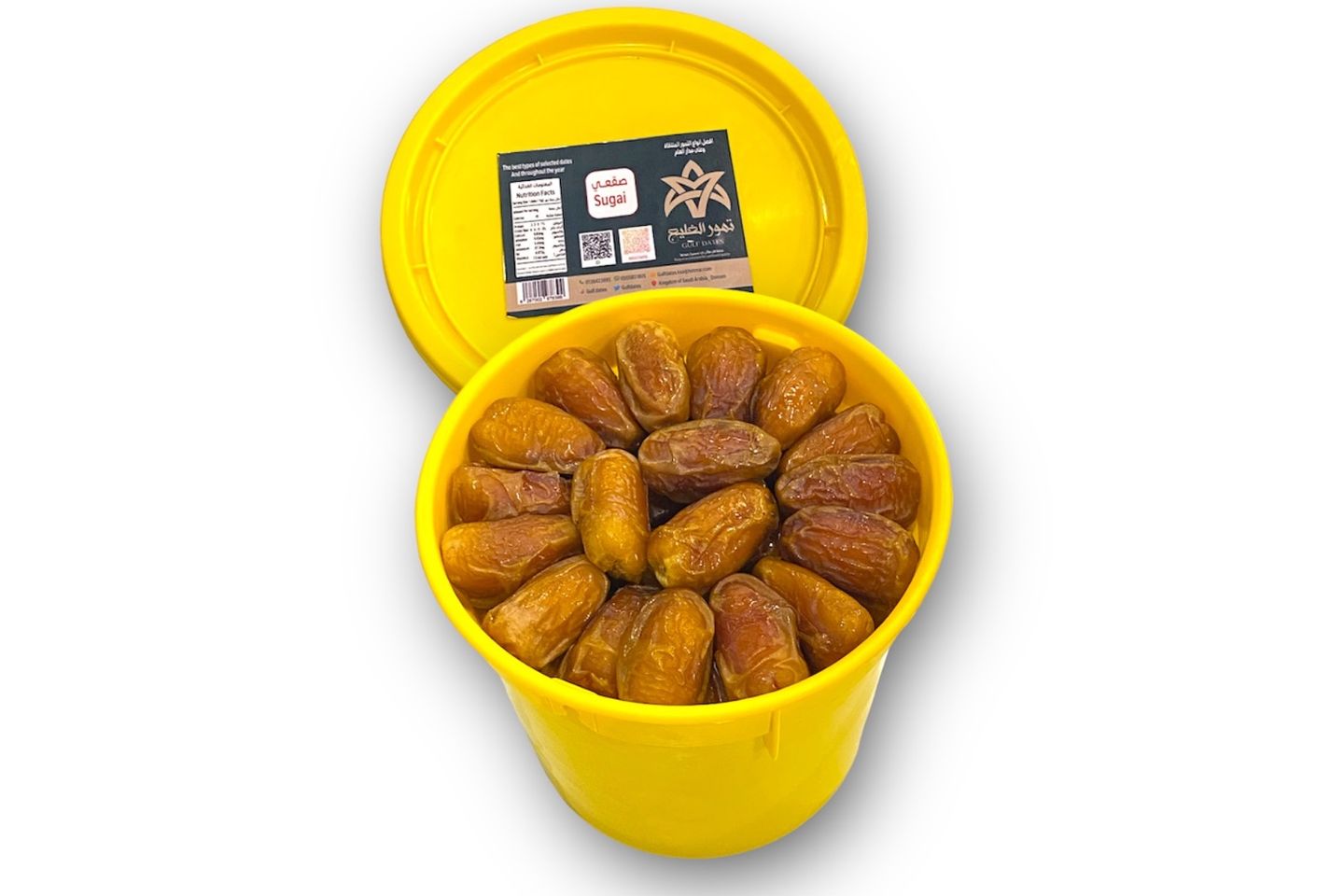صقعـي سطـل