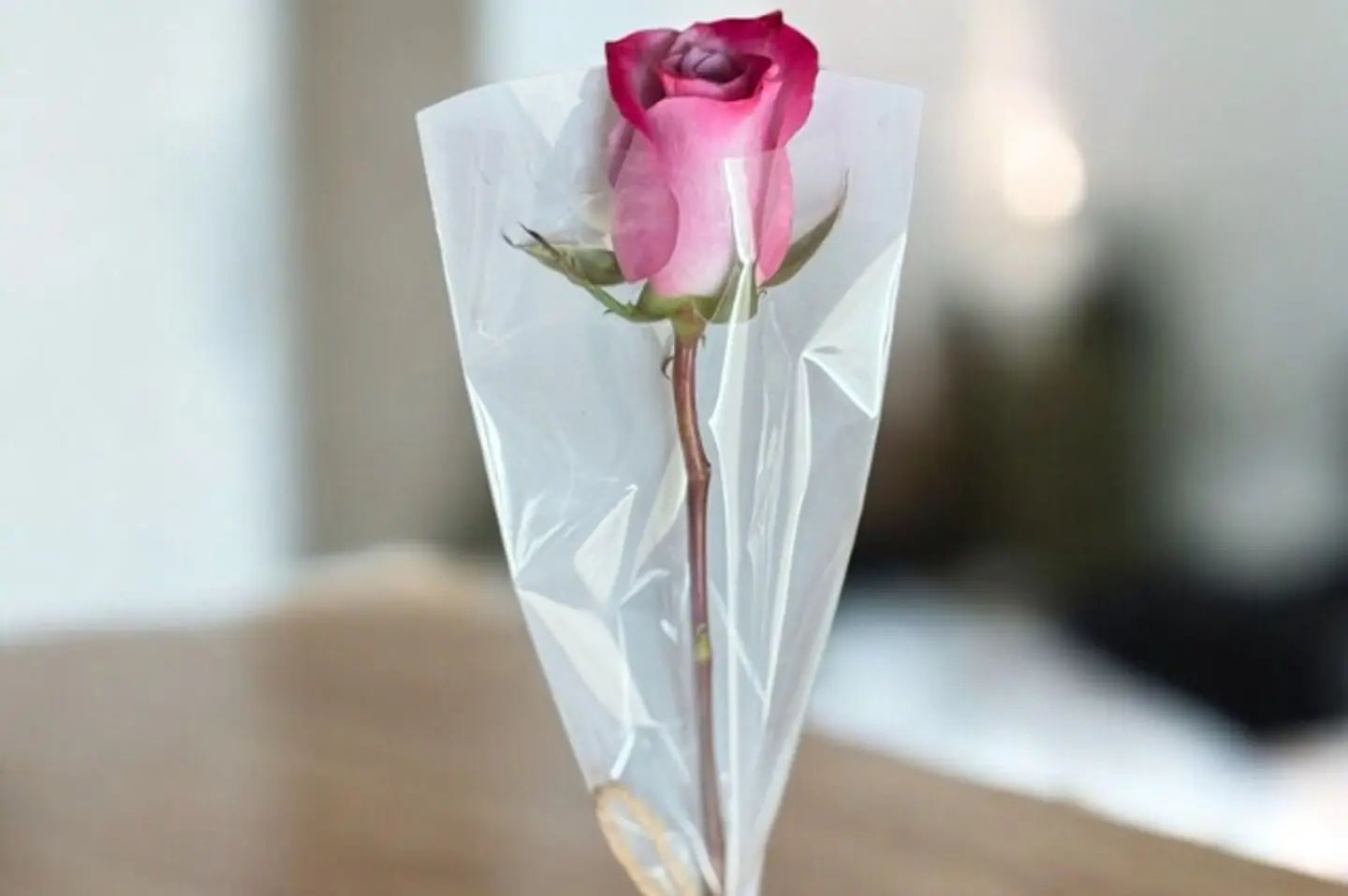 وردة بنفسجي