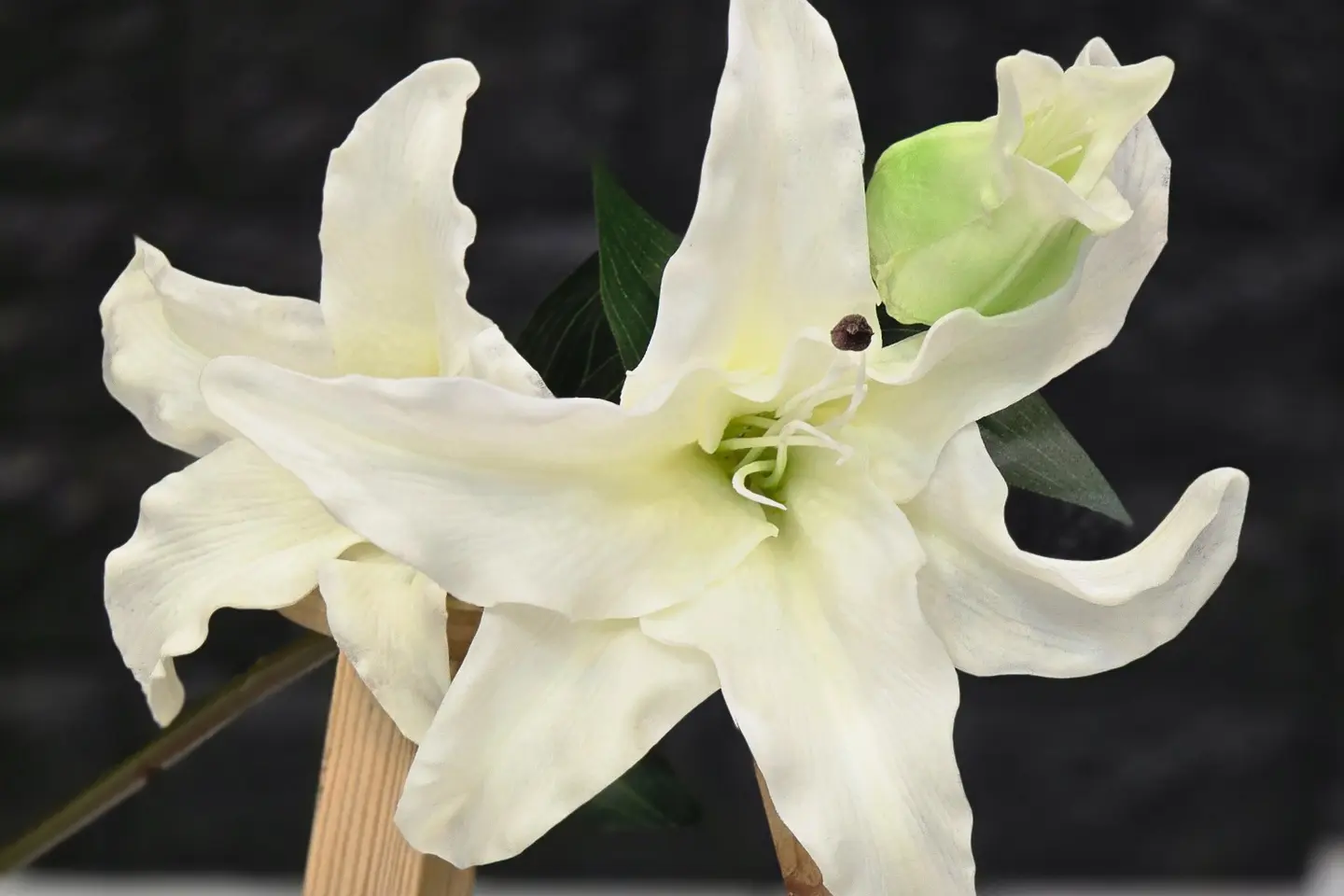 The Industrial Casablanca Responded Natural Texture High Quality