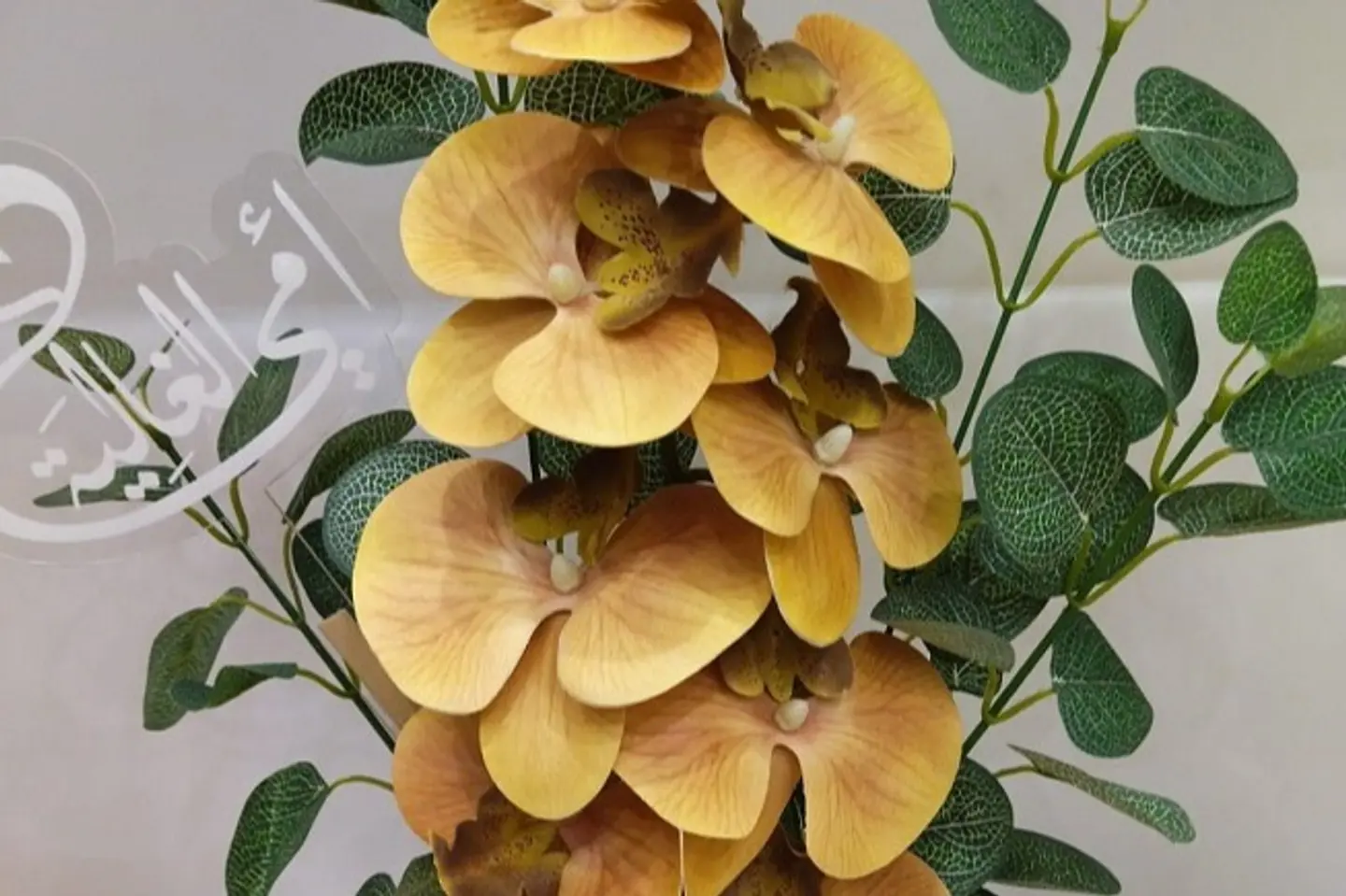 فازة اوركيد بيج لمناسبة يوم الأم