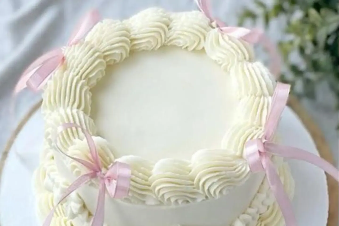 Murphy's Lunch Cake   Chocolate