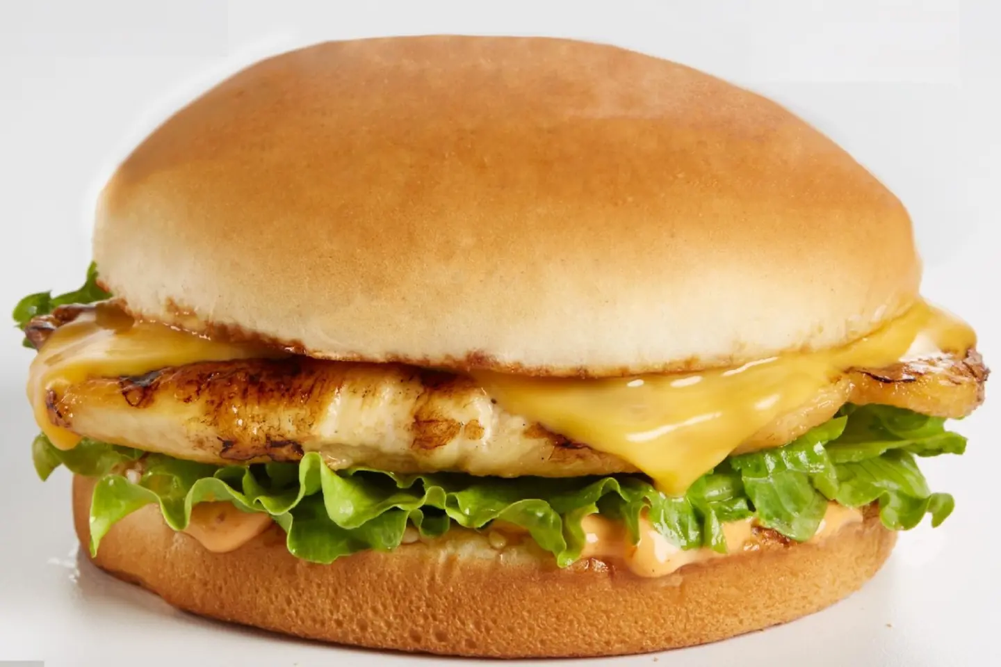 Grilled Chicken Burger