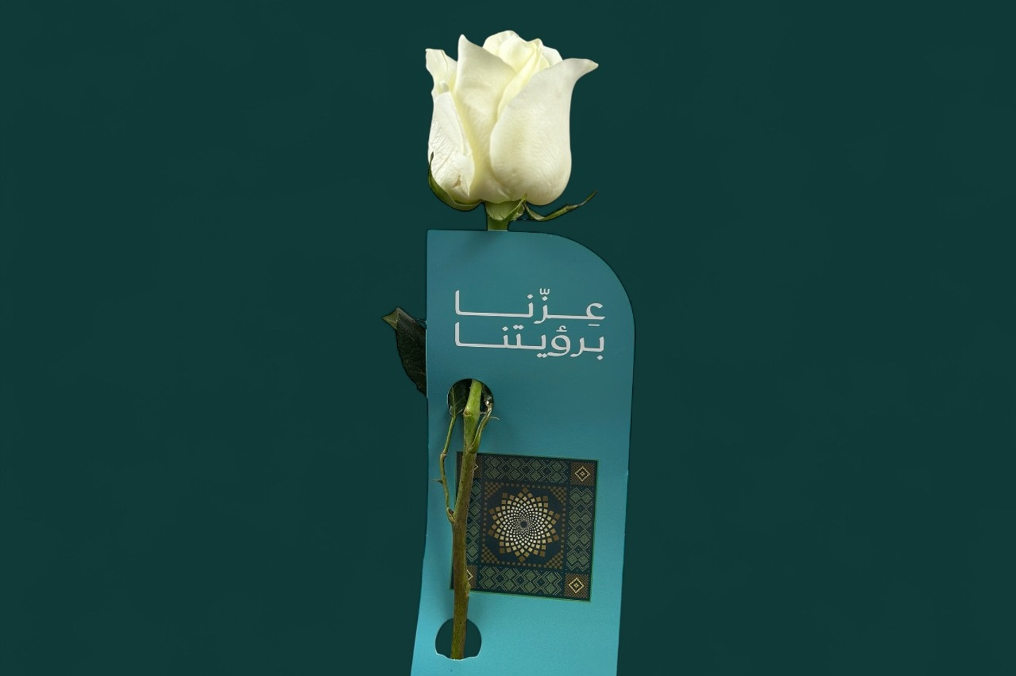 توزيعات ورد اليوم الوطني