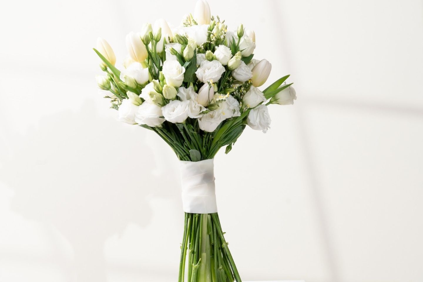 White Handle