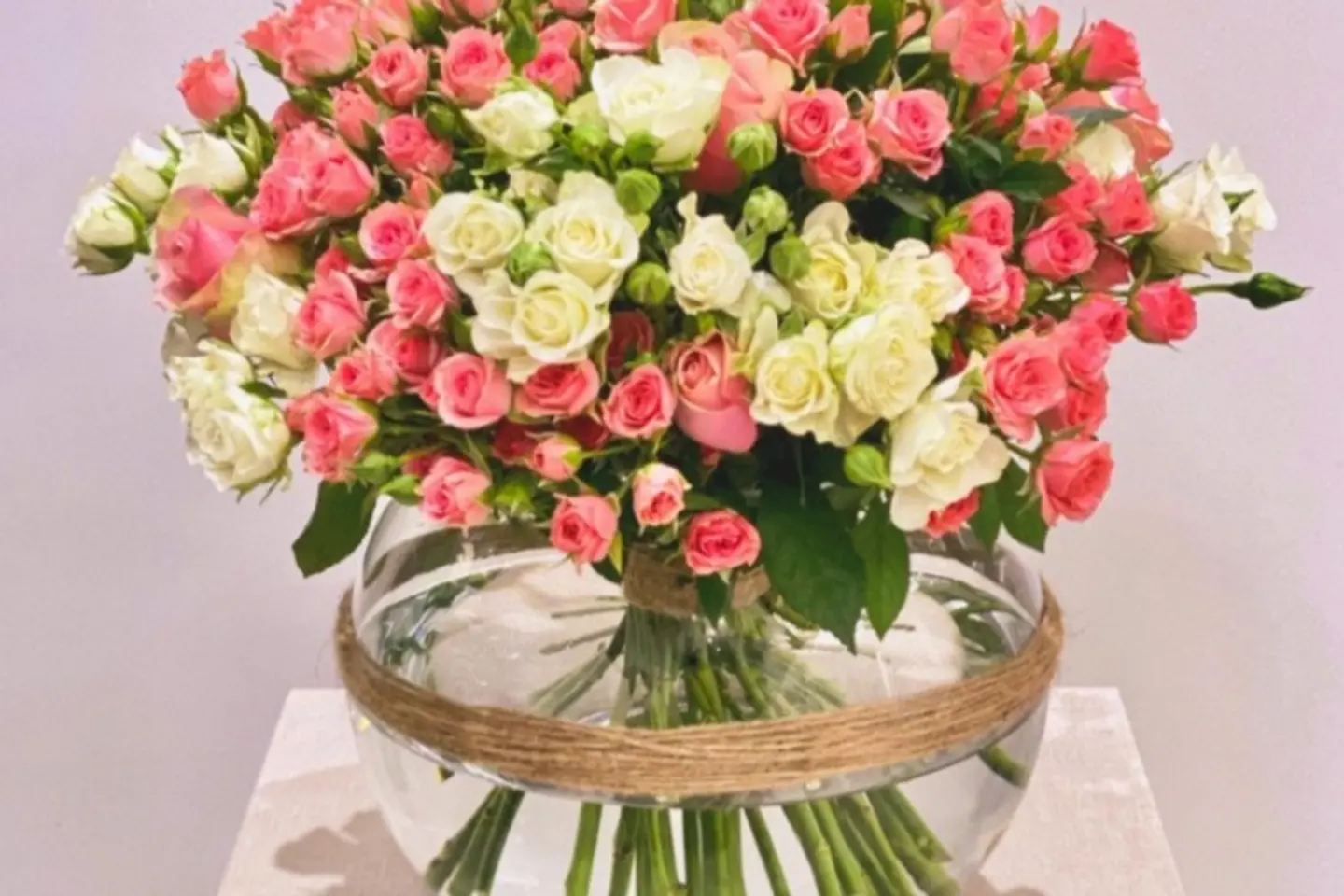 مزهرية زهرة مشكلة