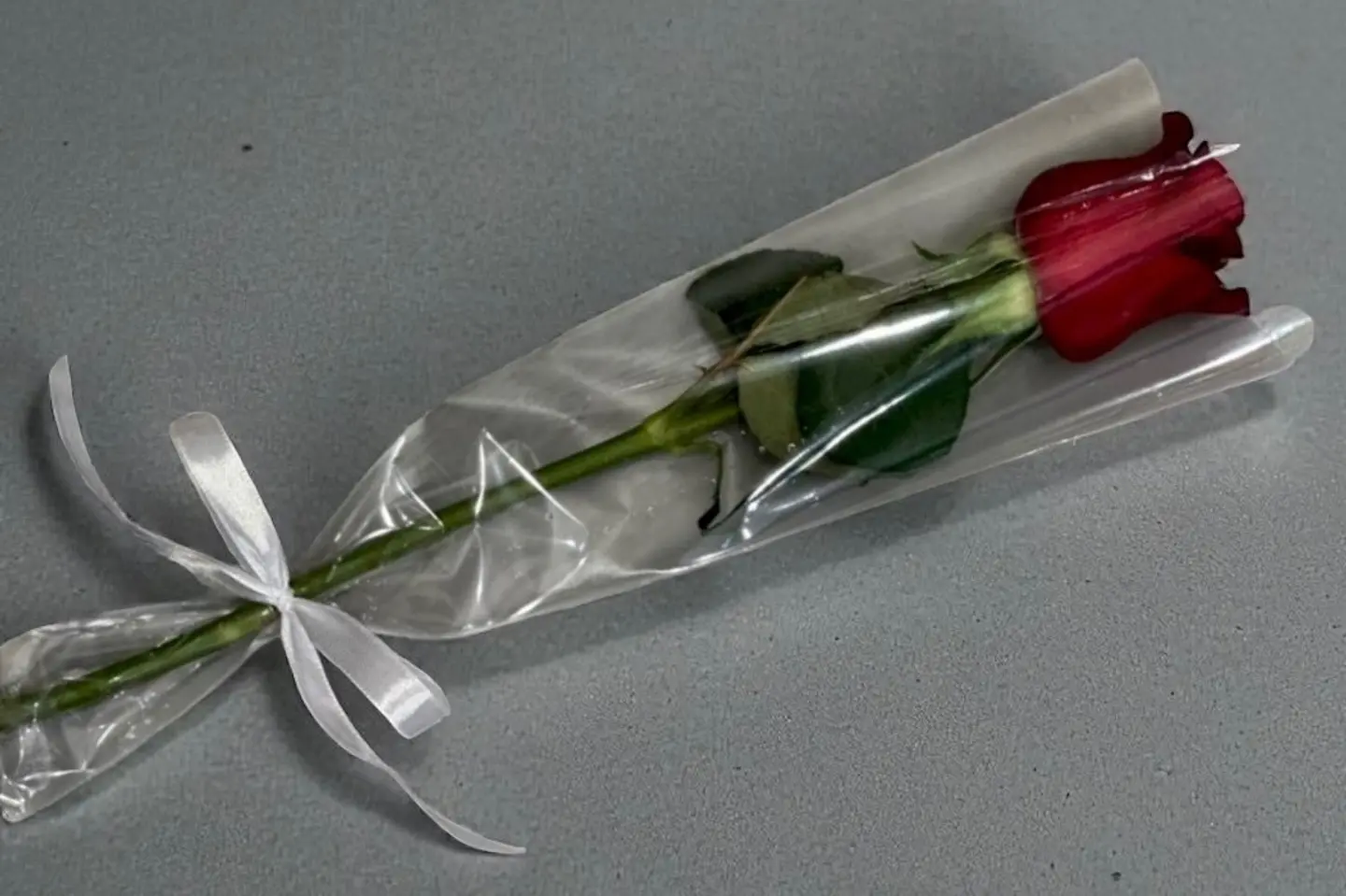 Cellophane Wrapped Rose