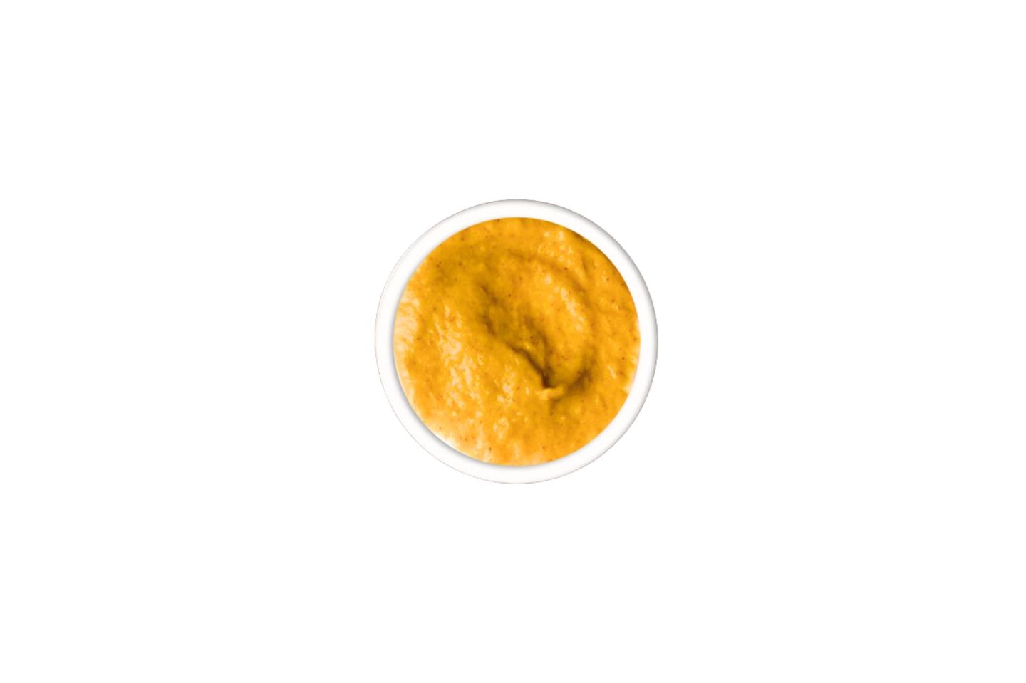 Garlic Masala Sauce