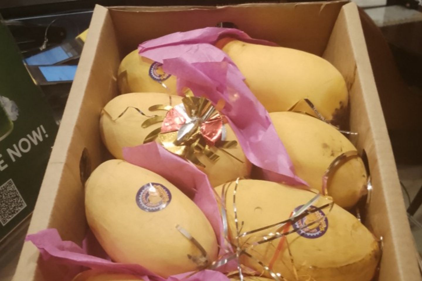 Pakistani Mango Sindhri
