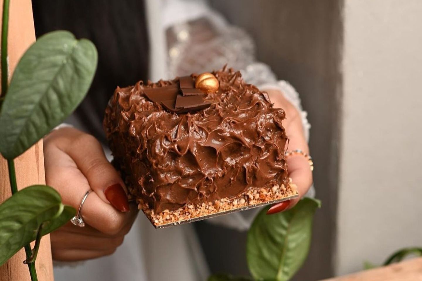 Chocolate Hazelnut Cake