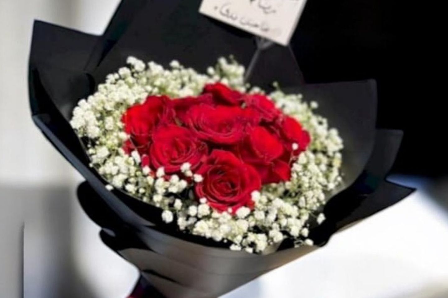 Rose 28