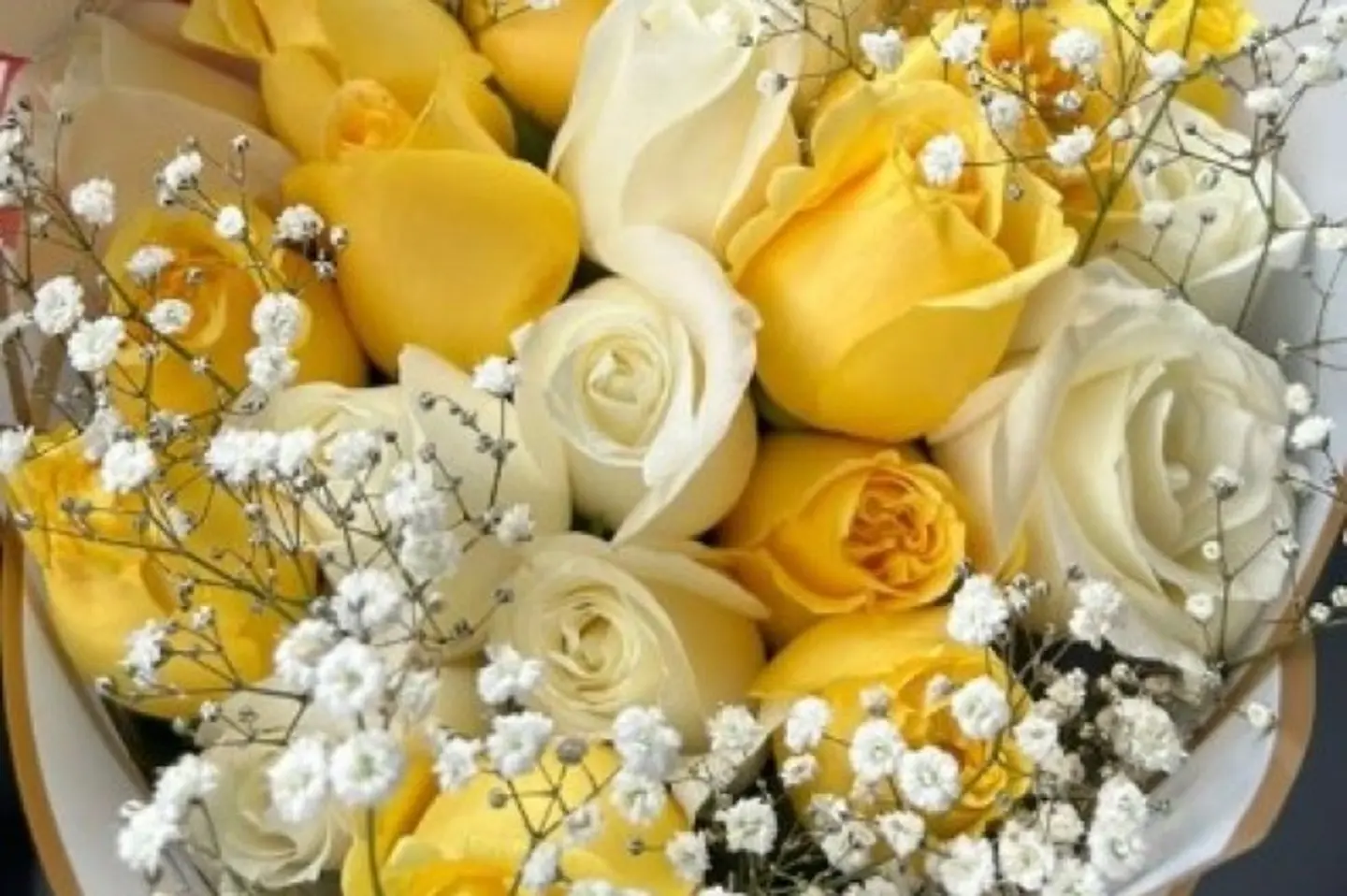 إشراقة ذهبية سبعة عشر