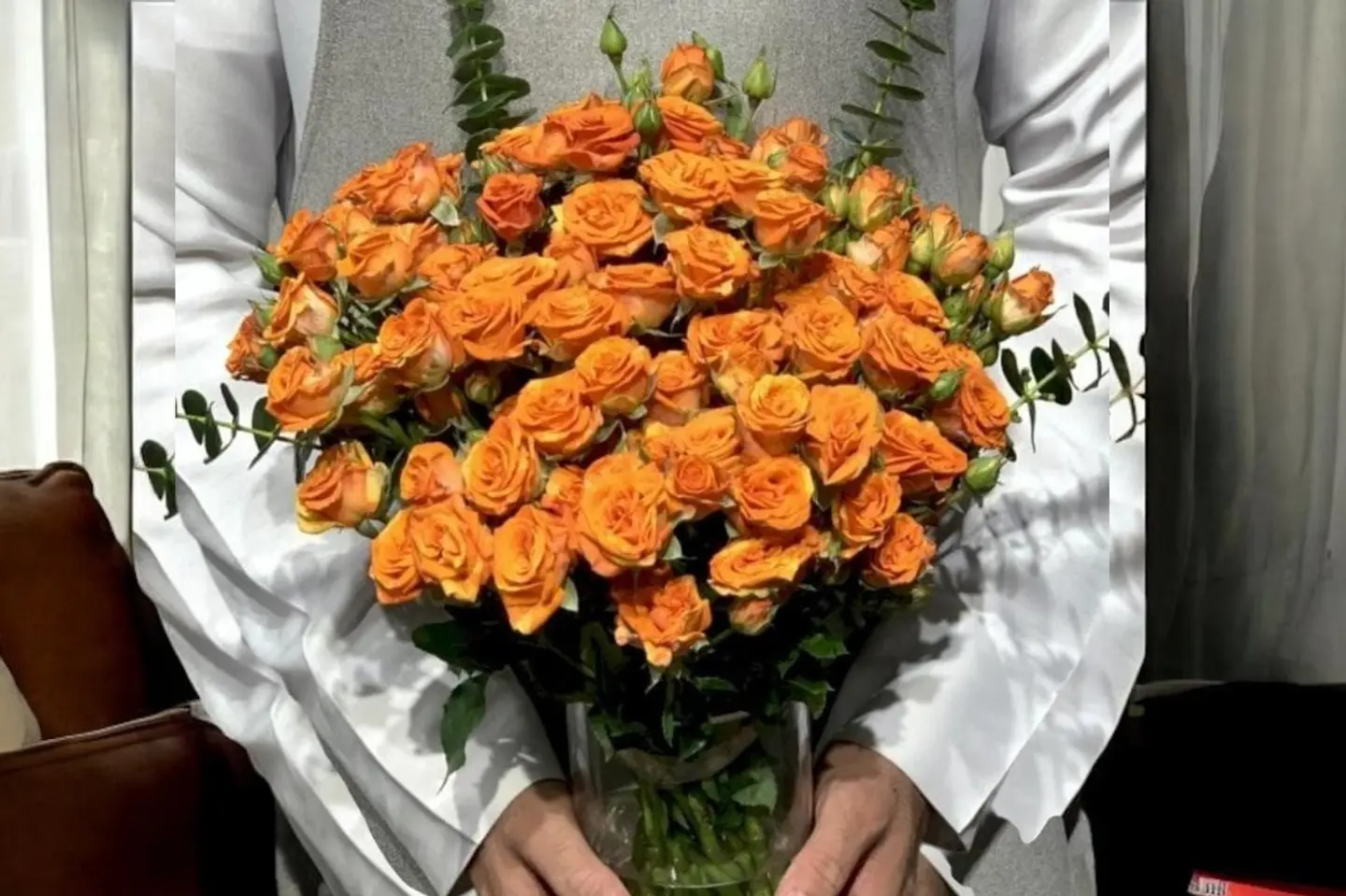 فازة هولازا