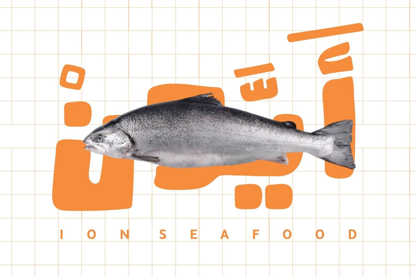 Salmon
