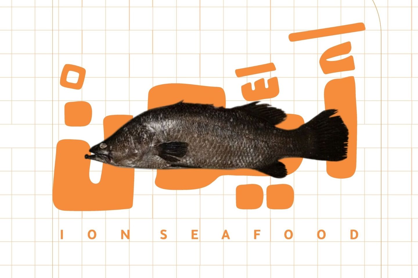 Bass